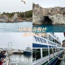 애기미 | 겨울 제주 가족여행 가볼만한 곳 서귀포유람선 출항시간 사전예약 좌석추천 제주투어패스 관람후기