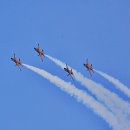 블랙이글 이미지