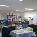 참빛방역