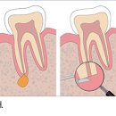 더올바른치과의원 이미지