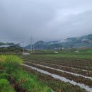 봉산태양광발전소 이미지