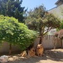 오영수의다나의원 이미지