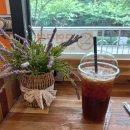 나우커피 이미지