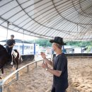 해맞이승마클럽 이미지