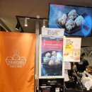 타코비강남대치 네이버블로그