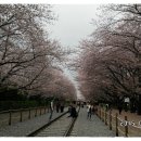 마산카 이미지
