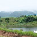 단양공설정구장 이미지