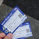 R-5 | 대전 충무체육관 삼성화재 남자 프로배구 R5구역 1열 5번 직관후기