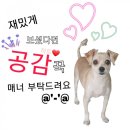 플란다스 펜션 이미지