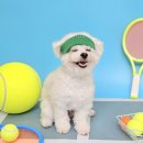 원주유치원 이미지