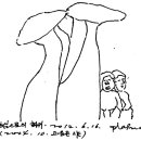 동심으로의 회귀 이미지