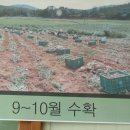 이레유통 이미지