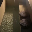 더 스테이 꽃님 이미지