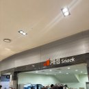 알토스푸드 | 화성시종합경기타운_IBK기업은행 알토스 배구단 경기 직관 후기🌟 주차팁 포함, 신인감독 김연경 열풍