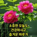 풀꽃/시절인연 법정스님 이미지