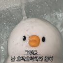 티쳐스스쿨 이미지