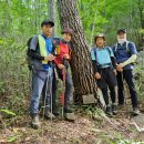 7월 3일(日)[당일]【智異명품】빗점 산태골과 총각샘, 그리고 지보등능선 산행 이미지