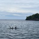 핑크비치 이미지