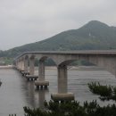 동갈매기 이미지