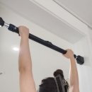 가정 | 가정철봉 후기 홈트 문틈철봉운동 스케쳐스 더블락