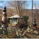 팔공사슴농장 이미지