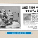 삼성광고산업 이미지