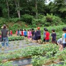 남성초교 병설 유치원 이미지