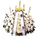 옥천동 9-5 이미지