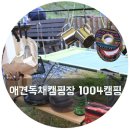 감 이야기 캠핑장 이미지