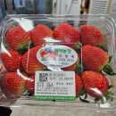 김영배농장 이미지