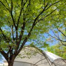 수밋들공원 이미지