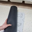 더블유그린 규조토 욕실매트 러닝래빗 화이트 후기