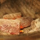 돼지궁뎅이 이미지