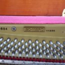 가야중학교 이미지