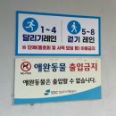 (주)이트랙 성남중원점 | <러닝 #10> 가을, 성남종합운동장 트랙에서 슬로우조깅 3km