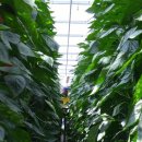 운산농원 이미지