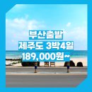 호텔펄리플러스 | 부산_특가_제주도_3박4일 #관광패키지 #석조 / 3박4일제주패키지