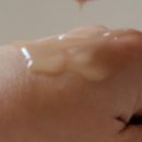오휘신정동지사