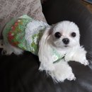 보미농장 이미지