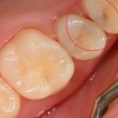 보배로운치과의원 이미지