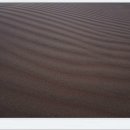 나미브(NAMIB) 이미지