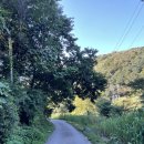 가평한옥펜션 이미지