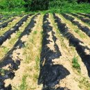 새터공동체 이미지