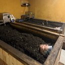 오렌즈 미금점 | 분당)쑥효소찜질 데이트 쑥이사랑 미금 내돈내산 후기