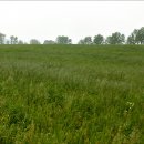 남원목장 이미지