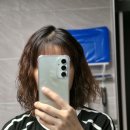 올리브영 단백질 트리트먼트, 바디브 약산성 헤어팩 트리트먼트, 극손상모발 3일 사용후기