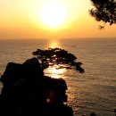 춘하추동 이미지