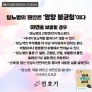 내몸날다