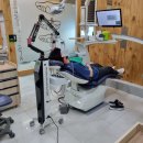 삼호치과의원 이미지