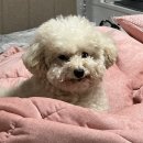 밀리고 밀린 일상 청산